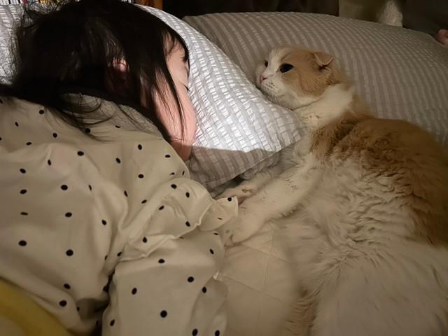 息を引き取る2時間ほど前、眠っている2歳の愛娘のそばに横たわったという愛猫のエピソードがXで話題に（飼い主さん提供）