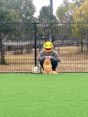 ワンちゃんがいっぱい…ドッグランで緊張&フリーズ「幼稚園のころの自分」「ちょこんとして可愛い」