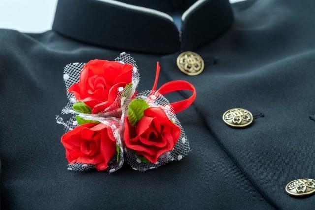 母一人が必死に働き長男を卒業へ。約3年間のエピソードがXで話題に（photoACより「シャンシャンPanda」さん撮影、イメージ画像）