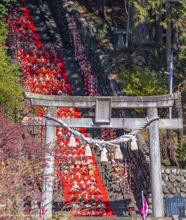 静岡県東伊豆町にある「素盞鳴（すさのお）神社」に飾られている118段の雛飾り（こ～いちさん提供）