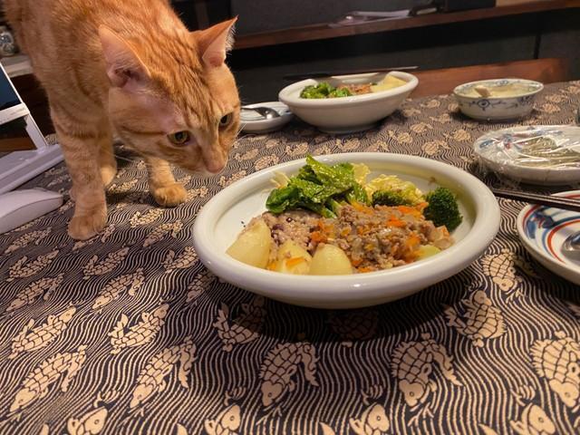 というか、猫を食卓に乗せてはいけませんね。