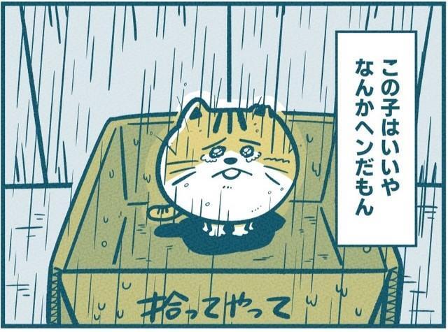 拾われる際に選ばれなかった後の「ププ」　(C)吉本ユータヌキ／扶桑社