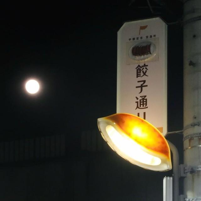 夜空に浮かぶ餃子型街灯（宇都宮餃子会提供）