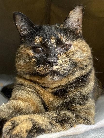 ふくふくしたお顔も愛くるしい