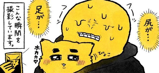 実は大変な猫動画の撮影　©ヤマネコ