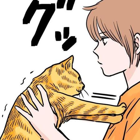 甘えん坊かと思いきや…全員一致で「抱っこ拒否」！？　3匹の猫が繰り出す見事な拒絶に「うちもそう」共感の声【漫画】