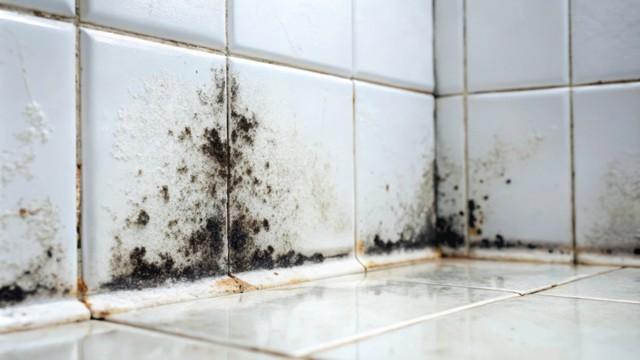 浴室の悩みと言えば「黒カビが生えること」※ 画像はAIが作成したイメージです（VisualVault/stock.adobe.com）