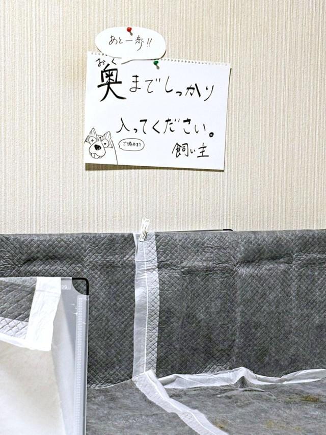 福丸くんのために、飼い主さんが壁に貼った「奥までしっかり入ってください」ポスター（画像提供：ふくまる＋ぶな＝さん）