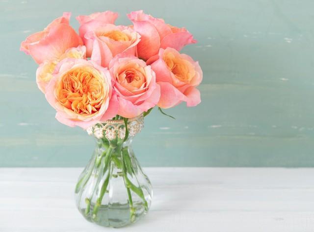 飾ると部屋が明るく彩られる「お花」※画像はイメージです（karin/stock.adobe.com）