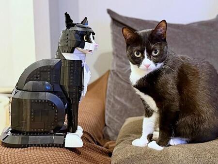レゴ猫と本物の猫が鼻チュー！？ 5時間で完成した驚異のそっくり具合が「凄すぎる」「全く同じ」「かわいい」と大反響