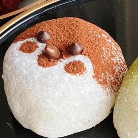 「スズメ大福とメジロ大福が可愛くできたので見て」特徴を上手くとらえてる！作り方を聞いた