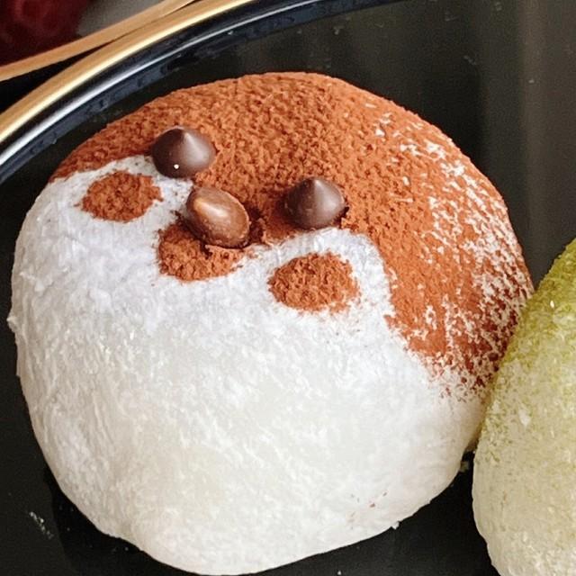 こちらが「スズメ大福」、ニッコリ微笑んでいるよう！（画像提供：サッサさん ※画像を一部トリミング）