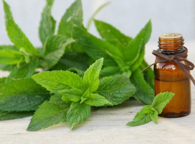 薬局で簡単に買えるハッカ油※画像はイメージです（Patryssia/stock.adobe.com）