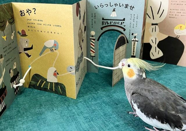 インコが齧りたくなる仕掛けが紐と木製ビーズ（画像提供：カトウカエさん）
