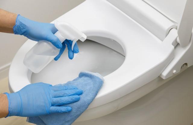 トイレ掃除、直接便座に「シュッ」とスプレーしてない！？※画像はイメージです（mykeyruna/stock.adobe.com）