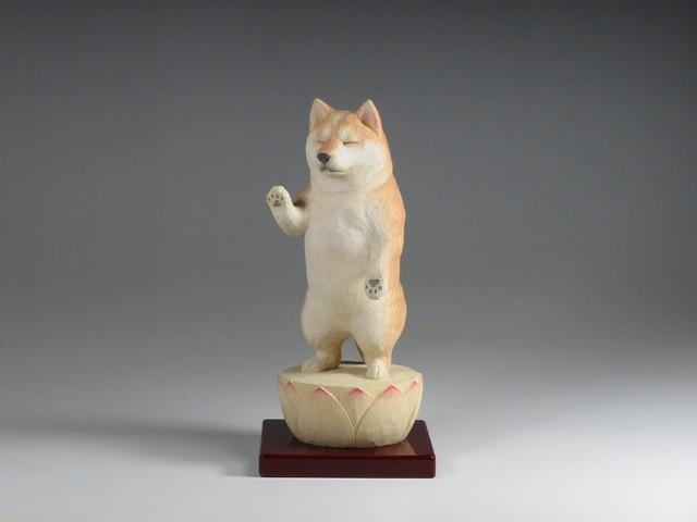 阿弥陀柴犬（画像提供：仏屋さかい）