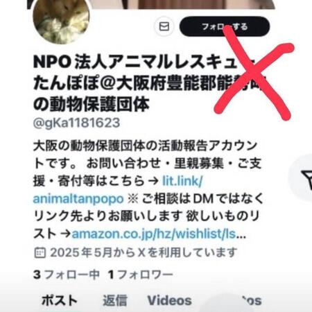 「注意喚起！偽アカウントが発生」動物保護団体なりすましアカウントの“誘導”DMが「動画もそのまま使用」団体代表憤り