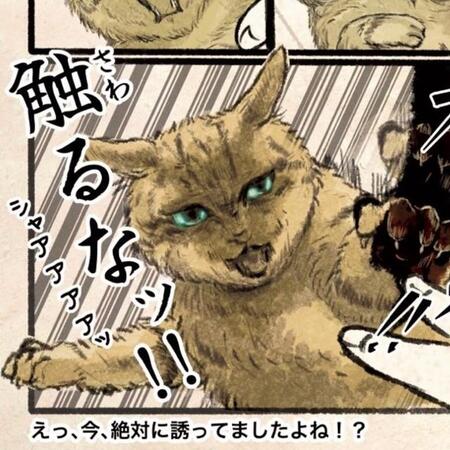 「無礼者に死を…！」お腹を触るな、爪を切るな…猫の気持ち「全部言葉になったら」こんな感じ！？　共感続出の“猫目線マンガ”に反響