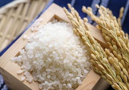 未開封だったら、「お米」に虫湧かないよね？　1カ月で発生しちゃう可能性も…気をつけたい保存法