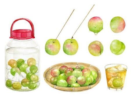 梅仕事の季節がやってきた！初めての方でも簡単にできる梅酒づくりをメーカーが紹介