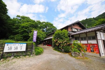 ツタンニャーメン、モニャリザ、猫仏…京都の人気猫スポット「猫猫寺」が「猫族歴史博物館」（猫博＝にゃんぱく）をオープン！