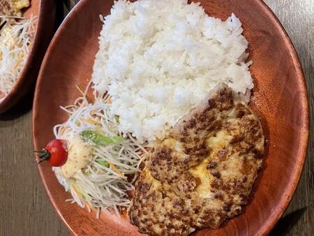 びくドンでハンバーグはビギナー？食通は「イカの箱舟」　白ご飯・味噌汁と組み合わせて和定食だ！