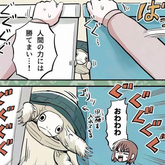 実は意外と活動的です（カメユさん提供）