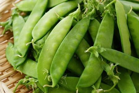意外と知らない「絹さや」の選び方　「全農」が教えるポイントを覚えて献立の参考にいかが？