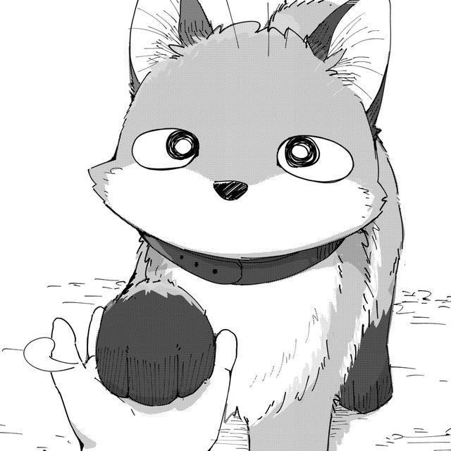 少年に初めてお手をしてくれるコン（きつねねねさん提供）