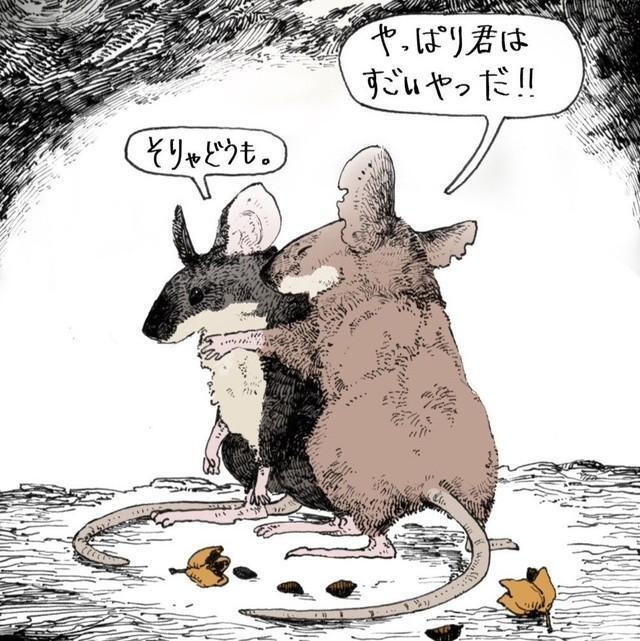 仲良しな黒毛と赤毛のネズミ　（胡桃さんの提供）
