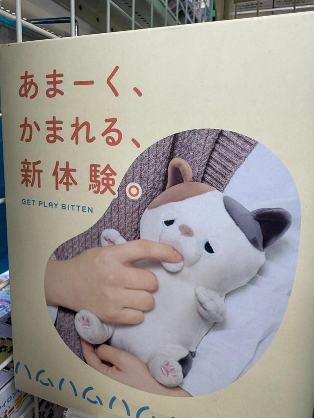 これが話題の甘噛みハムハム！（宮川サトシさん提供）