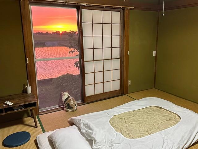 何を思っているのかな…？（画像提供：なつめさん）