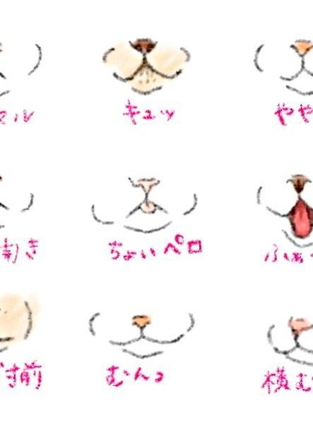 『猫の口元9選』。あなたの猫はどの口元になる？（画像提供：kaoruさん）