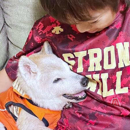 18歳を迎えた柴犬　次の目標は“レジェンド”20歳！ 大好きなお兄ちゃんに抱かれた笑顔に「長生きしてね」「かわいいのレジェンド」と反響