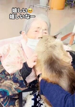 老人ホームでおばあさんと愛猫が8年ぶりに再会 ペット面会が生んだ感動の時間「心のモチベーション上がる」