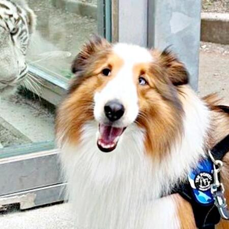 天ちゃんが動物園で出会った相手とは！？  （画像提供：むじゅっとてんちゃんさん）