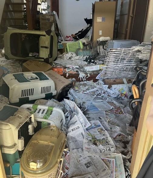 熊本市北区の住宅で約150匹もの猫の死骸が見つかった現場（動物愛護団体提供）