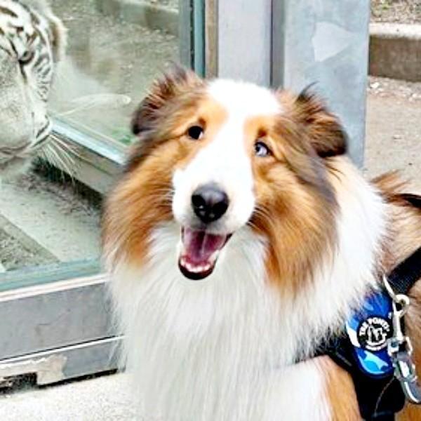 天ちゃんが動物園で出会った相手とは！？  （画像提供：むじゅっとてんちゃんさん）