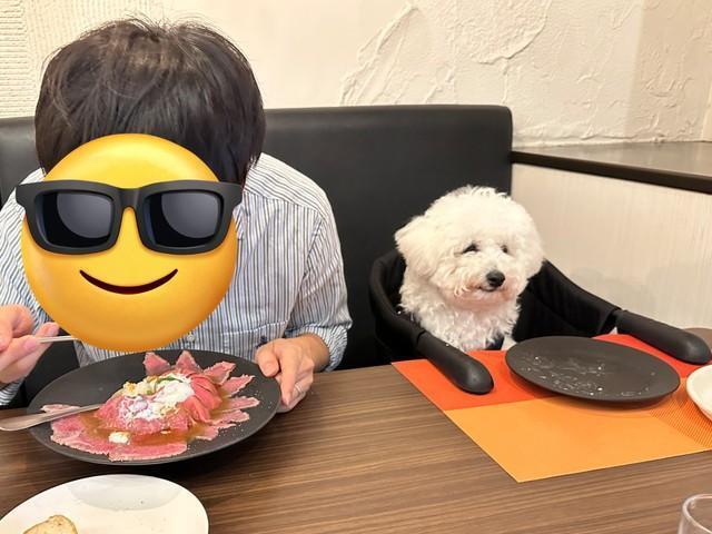 「食べちゃった」しょんぼりするムーンちゃん（画像提供：めろみちゃんとむんちゃんさん）