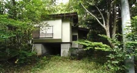 樹木やシダ類の密生する中に建つ50万円の別荘（YouTubeチャンネル「よつめもん。50万円の別荘買った」より）