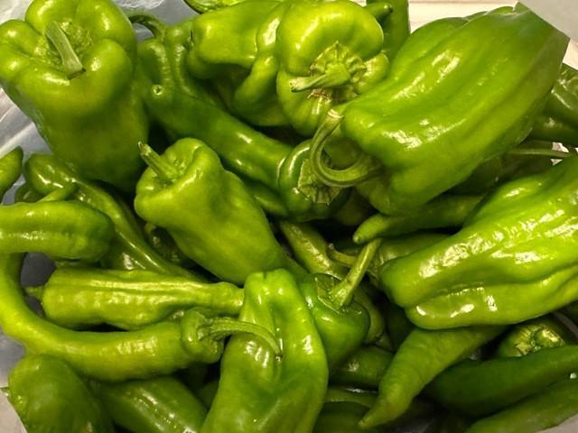 みなさんは判別できますか？（騎空士鮫ミンよりも遠い場所提供）