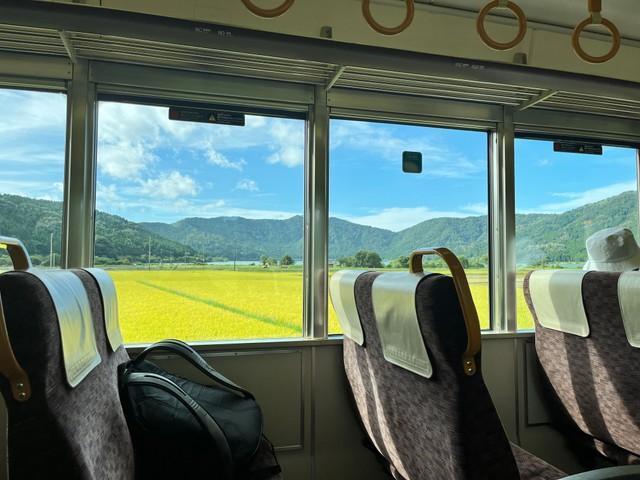 車窓の外に広がる黄金色の水田…青春を感じる一枚の写真が話題に（干物さん提供）