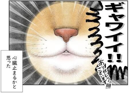 猫と暮らしはじめて日々興奮！　しぐさ、細部すべてが愛おしい　話し声も聞こえてくる気が…これは幻聴？【漫画】
