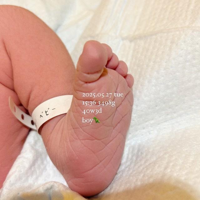 誕生したばかりの息子さん／ちゃさん（@Kocha__kiroku）提供