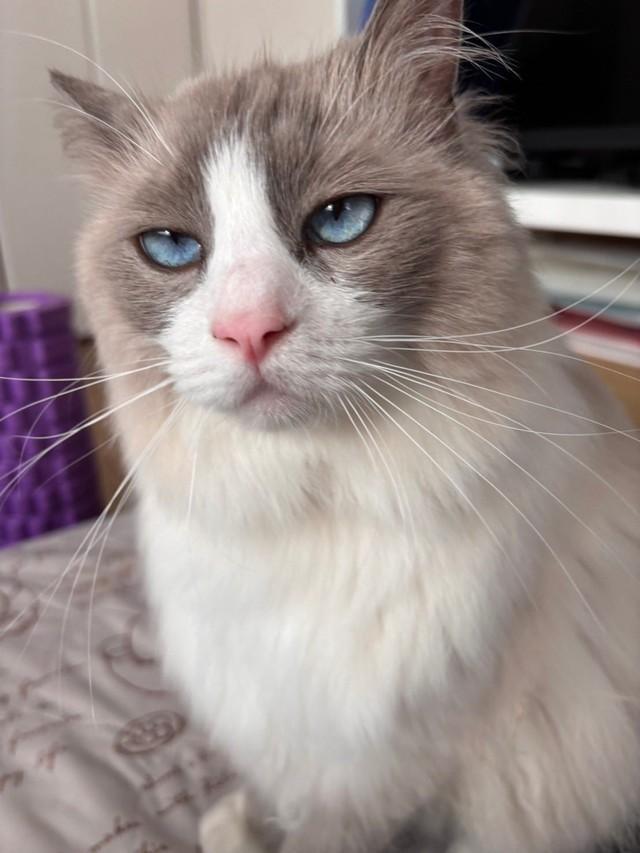 パパ撮影ののあくん。投稿の左写真（「のあこはくLavie」さん提供）