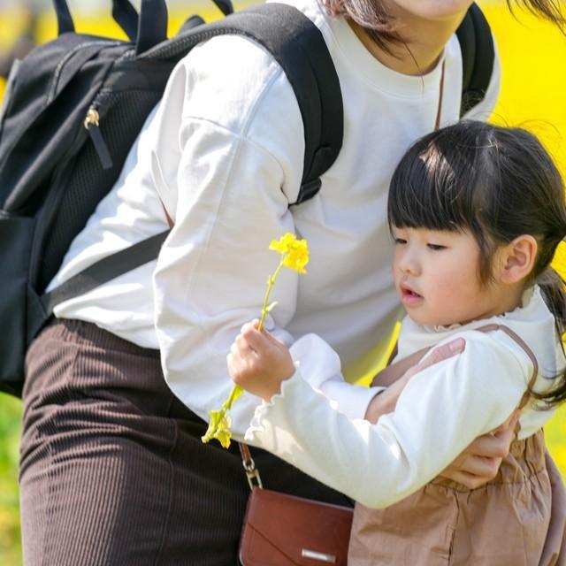 公園や道端の花を摘むのは罪になる？　※画像はイメージです（Masakazu Tokashiki/stock.adobe.com）