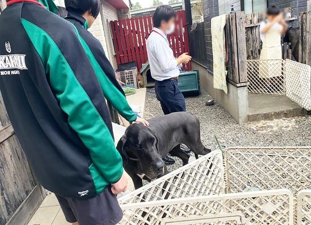 保護団体のもとに中学生がインターンで活動の体験に訪れました