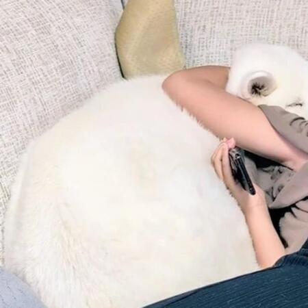 「どちらも幸せそう…」小6娘が大きな秋田犬をギュッ「ベロがちょっと出てるのがよき」