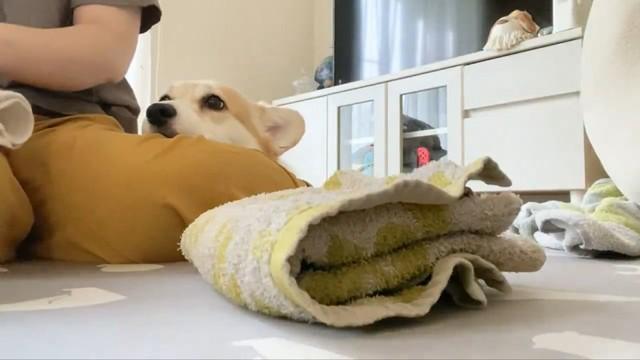 微動だにしません…（画像提供：ばなななさん）