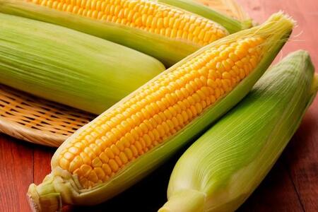 とうもろこし「お湯を沸かして茹でるのは面倒」→たった6分、後片付けもラクラク 簡単調理法とは…?
